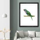 Bird 4 by Harvey, Brenna Harvey on GIANT ART - green animal bird