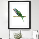 Bird 4 by Harvey, Brenna Harvey on GIANT ART - green animal bird