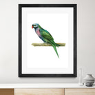 Bird 4 by Harvey, Brenna Harvey on GIANT ART - green animal bird