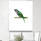 Bird 4 by Harvey, Brenna Harvey on GIANT ART - green animal bird