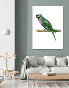 Bird 4 by Harvey, Brenna Harvey on GIANT ART - green animal bird