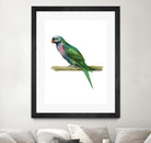 Bird 4 by Harvey, Brenna Harvey on GIANT ART - green animal bird