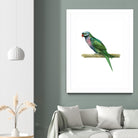 Bird 4 by Harvey, Brenna Harvey on GIANT ART - green animal bird