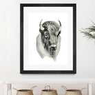 Bison Bust by Brenna Harvey on GIANT ART - white vintage bison