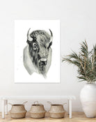 Bison Bust by Brenna Harvey on GIANT ART - white vintage bison