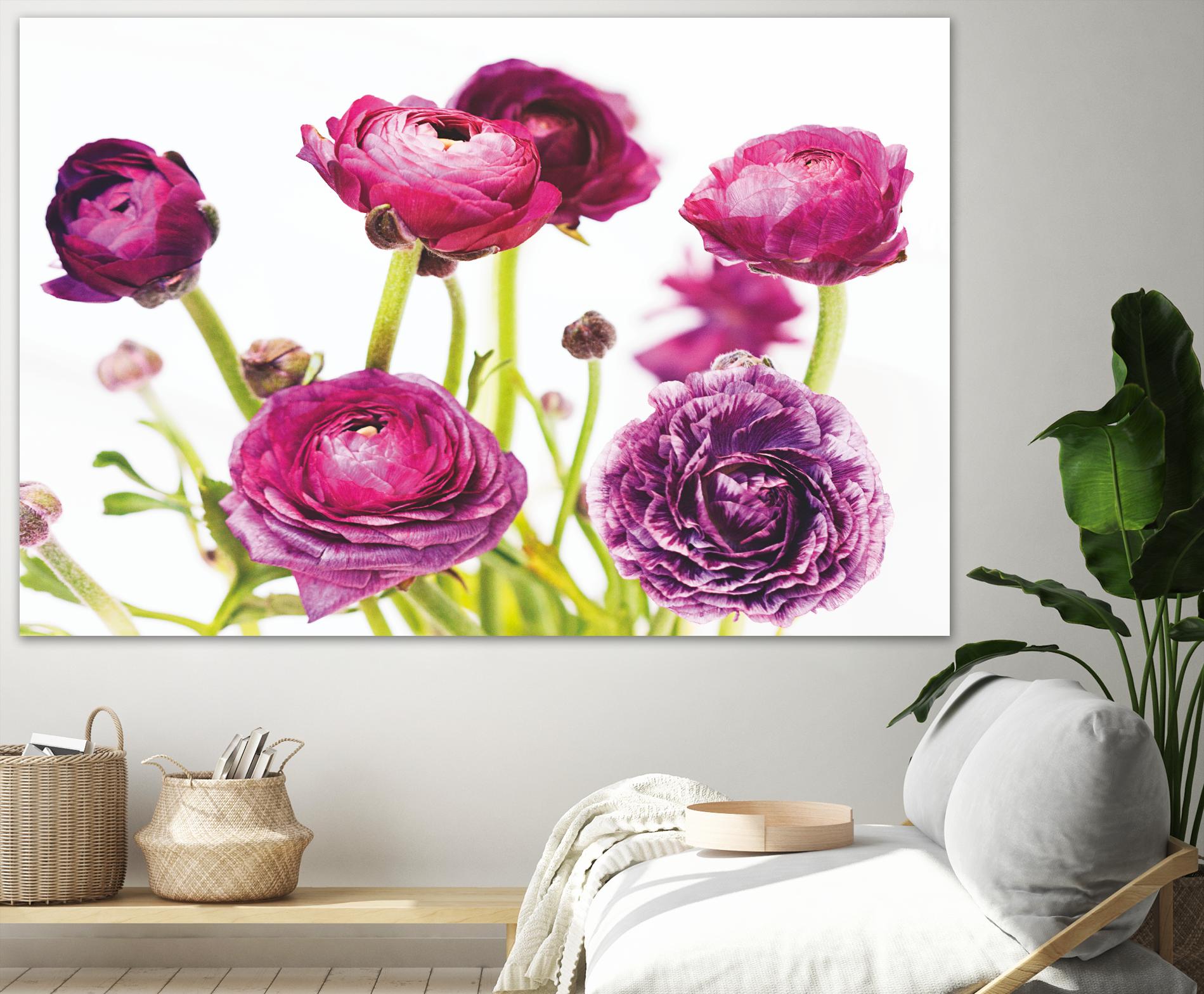 Spring Ranunculus III by Laura Marshall on GIANT ART - green floral