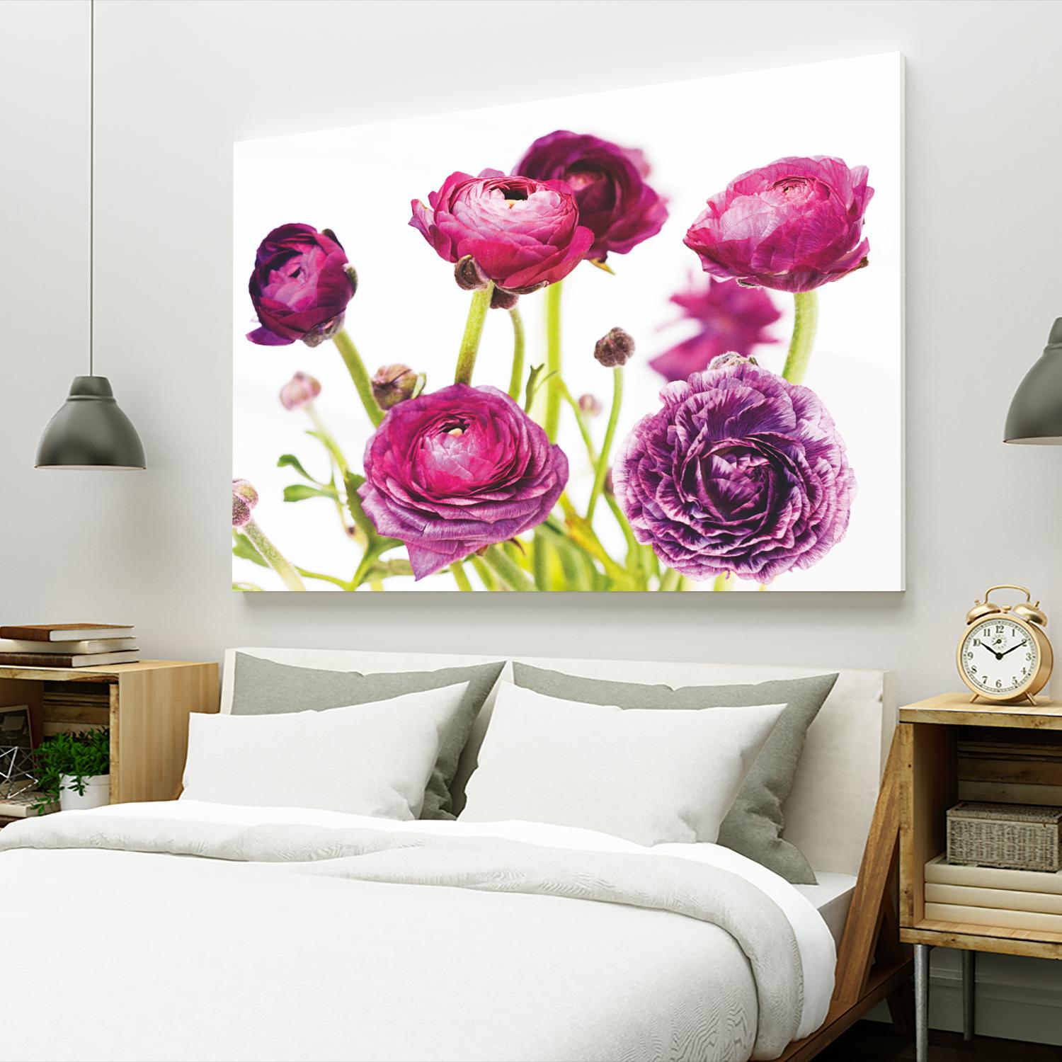Spring Ranunculus III by Laura Marshall on GIANT ART - green floral