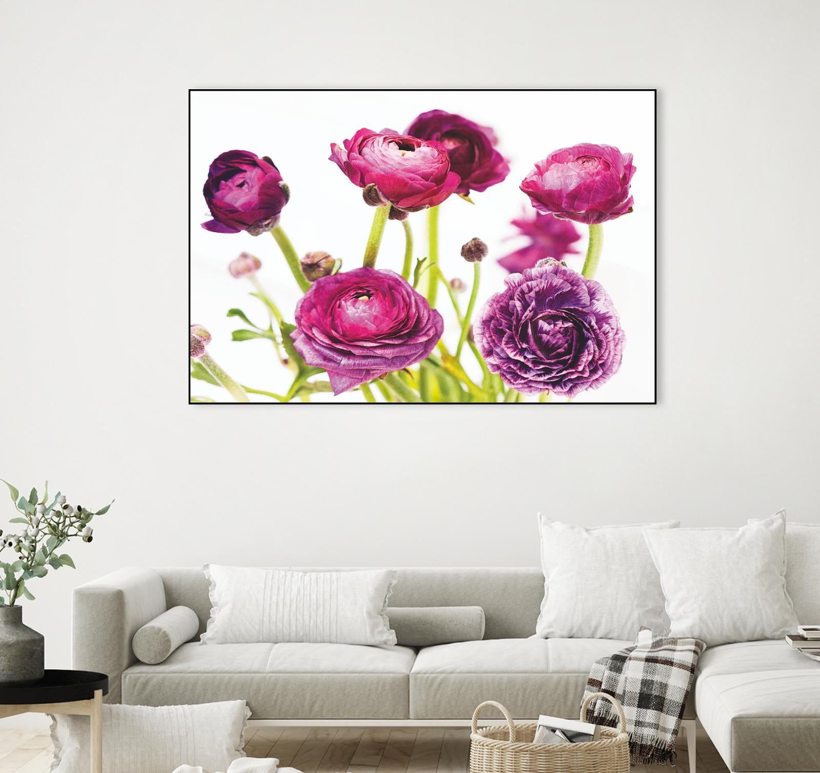 Spring Ranunculus III by Laura Marshall on GIANT ART - green floral