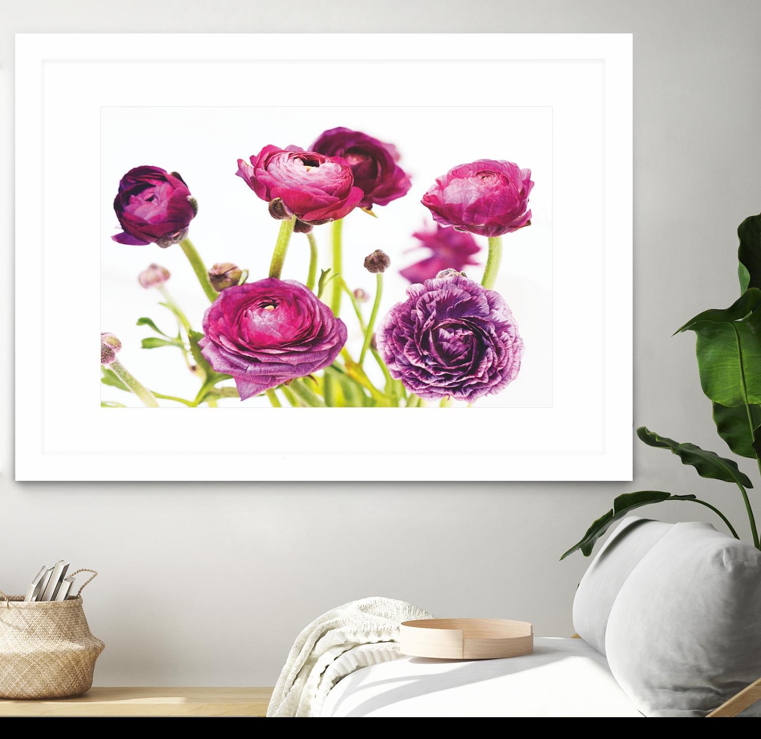 Spring Ranunculus III by Laura Marshall on GIANT ART - green floral