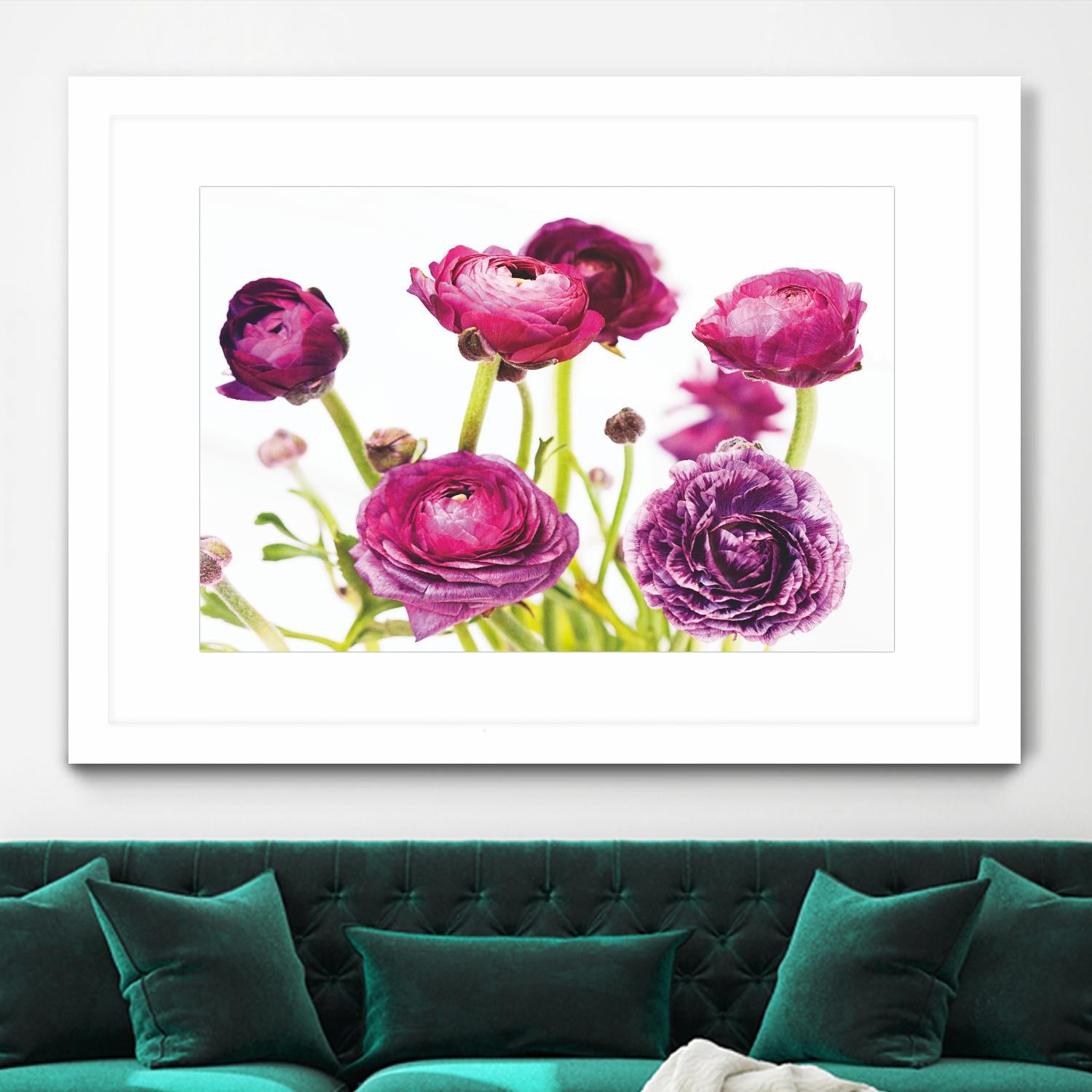 Spring Ranunculus III by Laura Marshall on GIANT ART - green floral