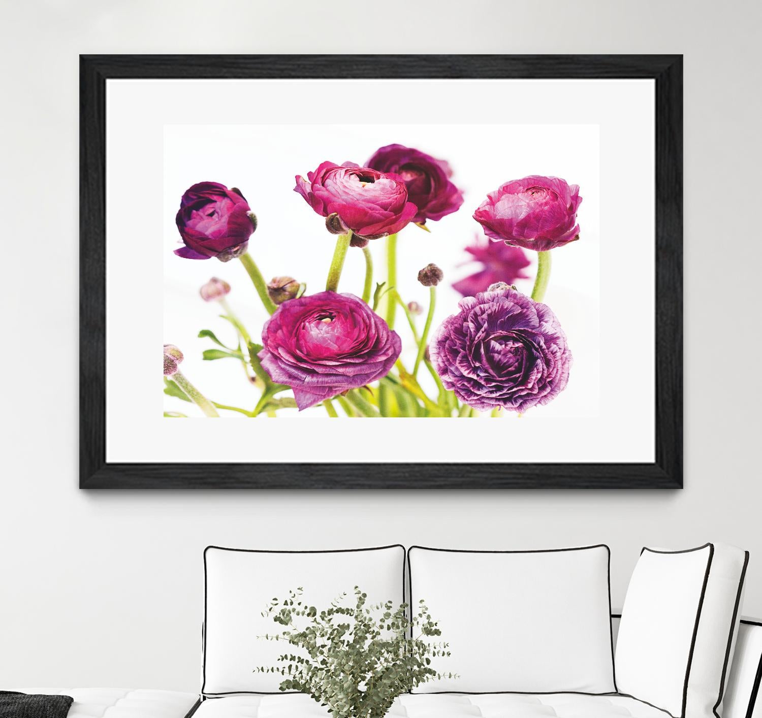 Spring Ranunculus III by Laura Marshall on GIANT ART - green floral