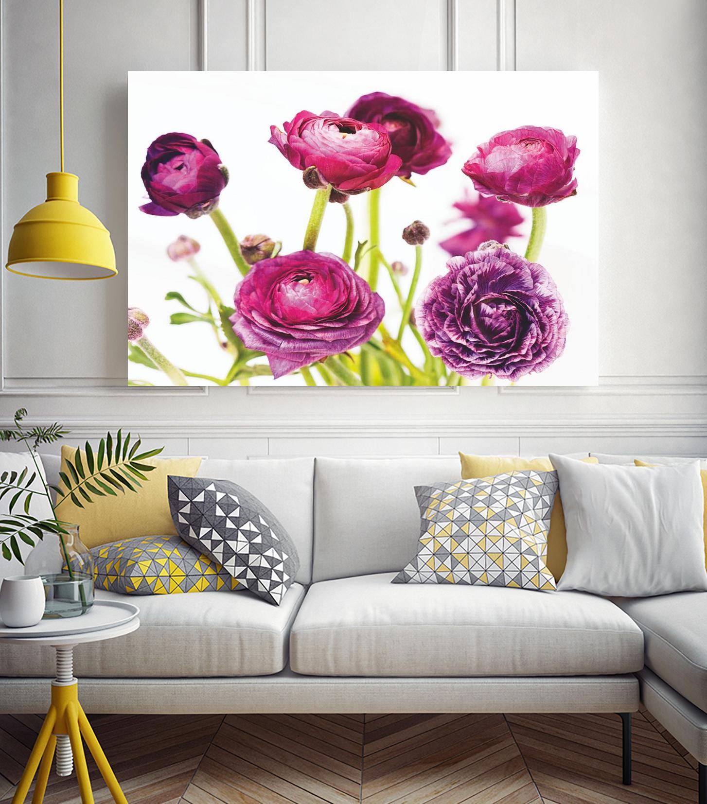 Spring Ranunculus III by Laura Marshall on GIANT ART - green floral