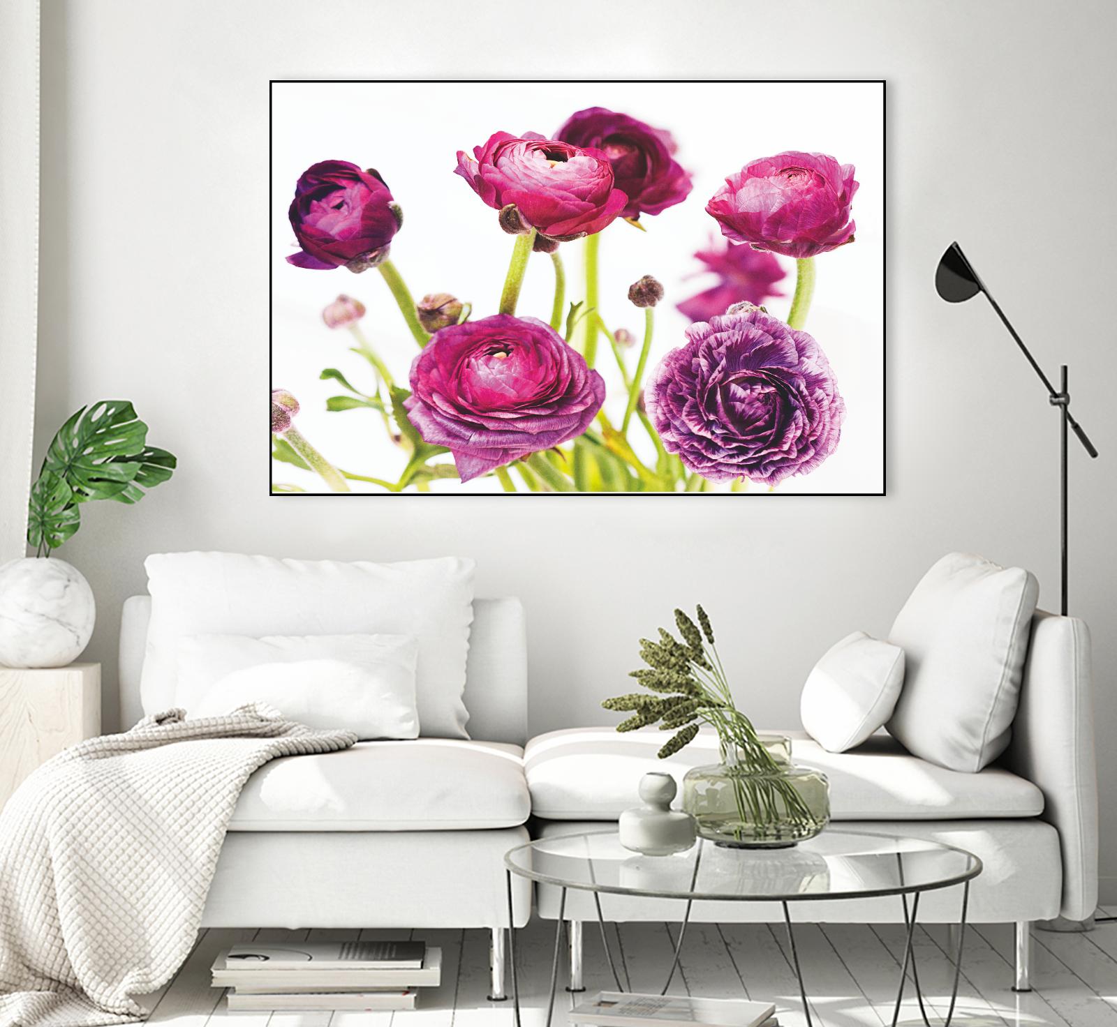 Spring Ranunculus III by Laura Marshall on GIANT ART - green floral