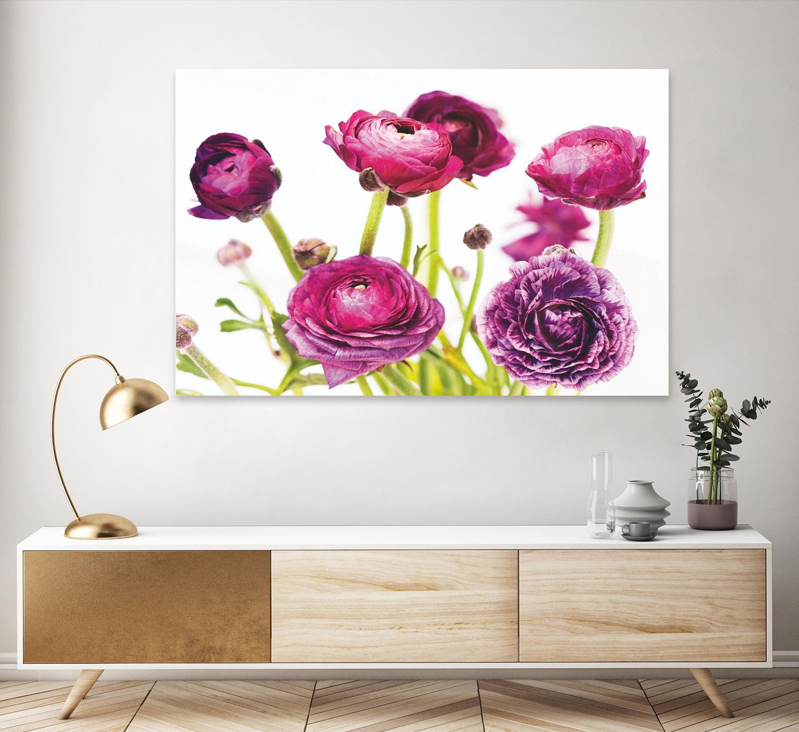 Spring Ranunculus III by Laura Marshall on GIANT ART - green floral