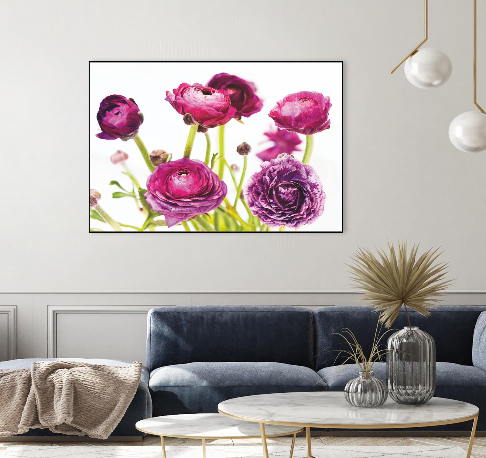 Spring Ranunculus III by Laura Marshall on GIANT ART - green floral