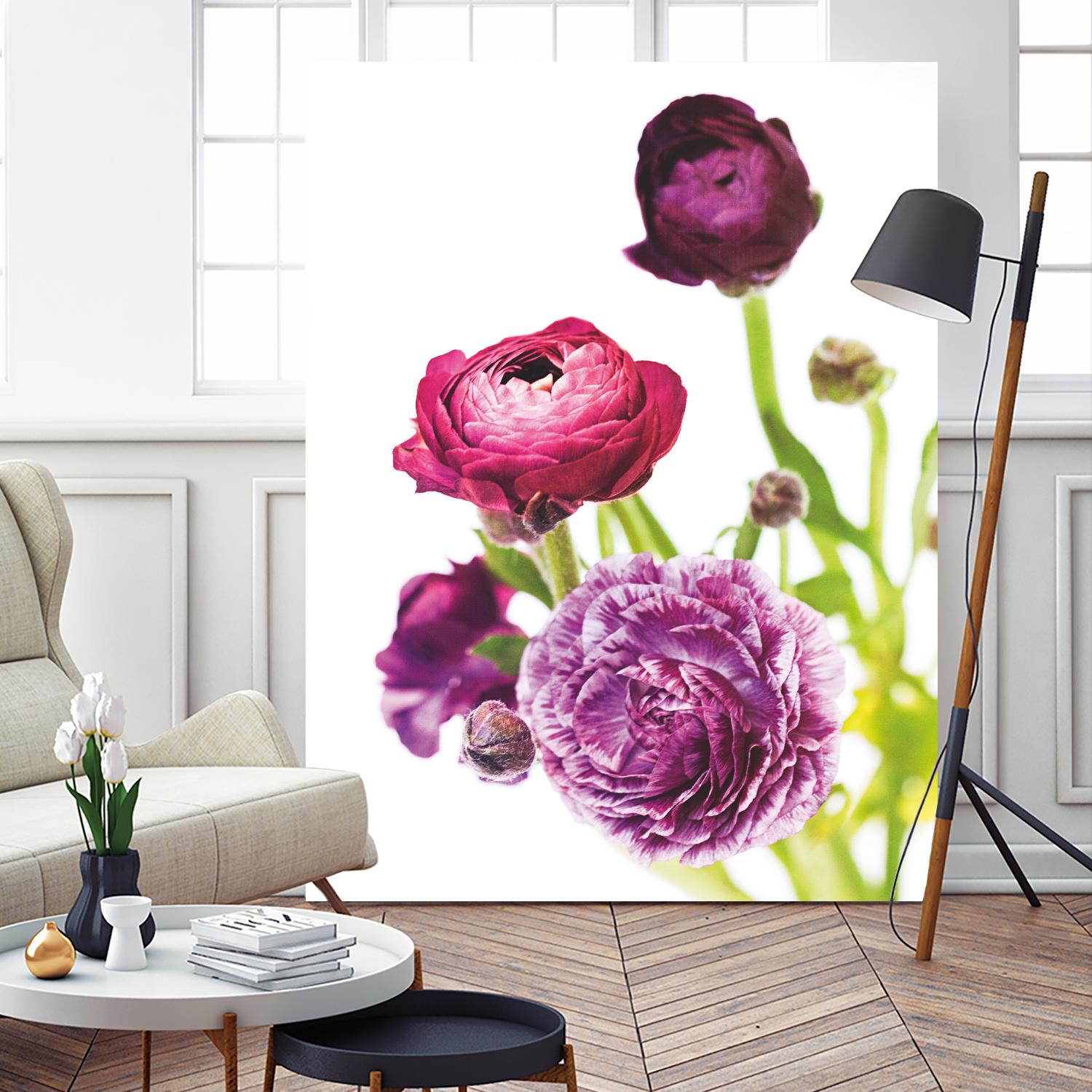 Spring Ranunculus VI by Laura Marshall on GIANT ART - green floral