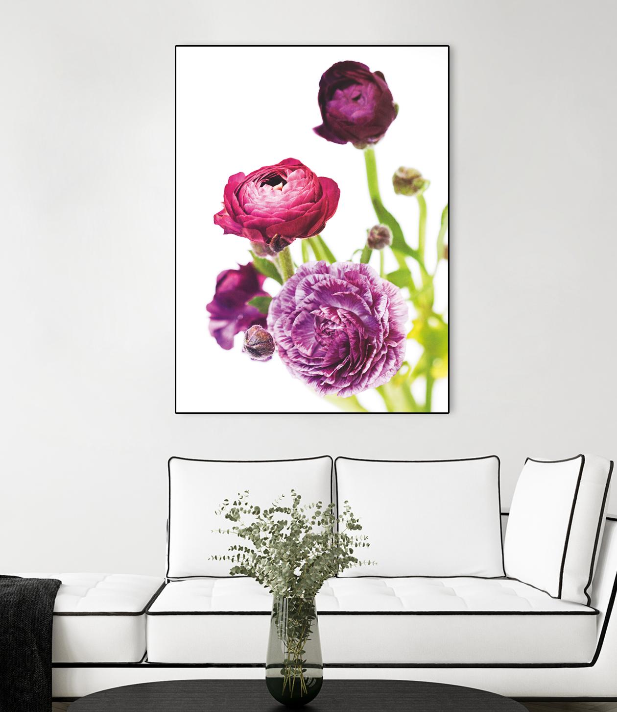 Spring Ranunculus VI by Laura Marshall on GIANT ART - green floral