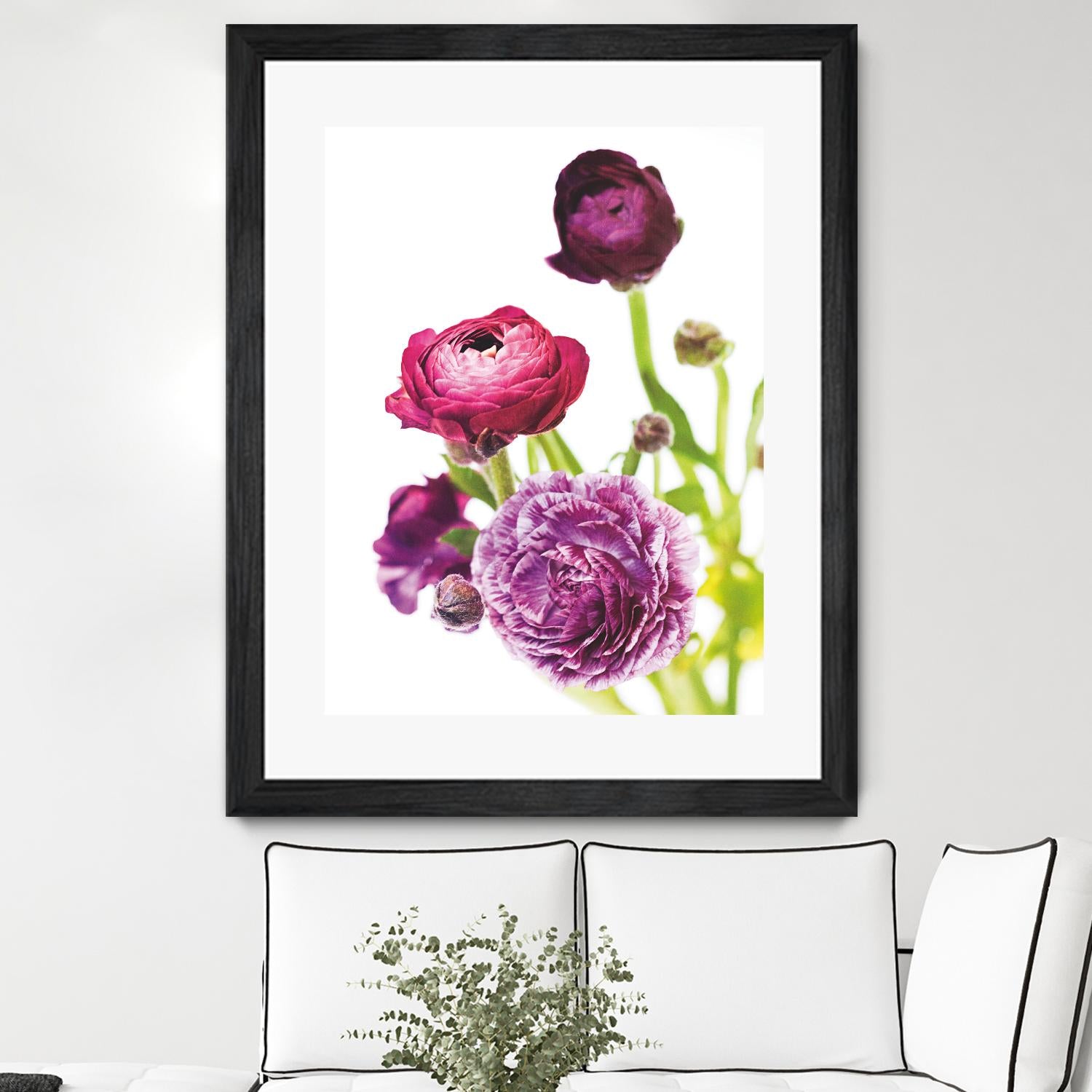 Spring Ranunculus VI by Laura Marshall on GIANT ART - green floral