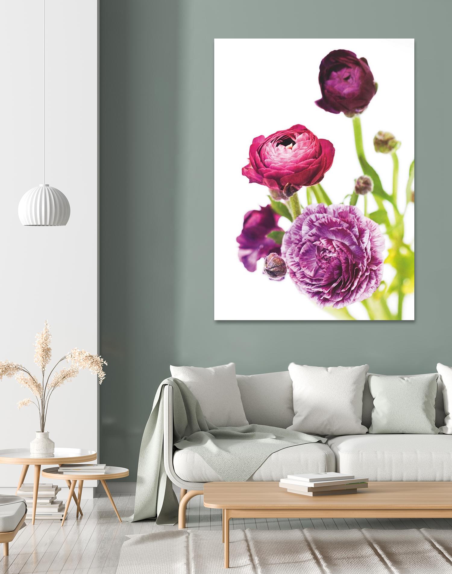 Spring Ranunculus VI by Laura Marshall on GIANT ART - green floral