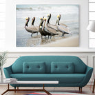 Pacific Cool IV Crop by Elizabeth Urquhart on GIANT ART - grey animals