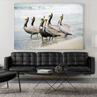 Pacific Cool IV Crop by Elizabeth Urquhart on GIANT ART - grey animals