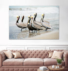 Pacific Cool IV Crop by Elizabeth Urquhart on GIANT ART - grey animals