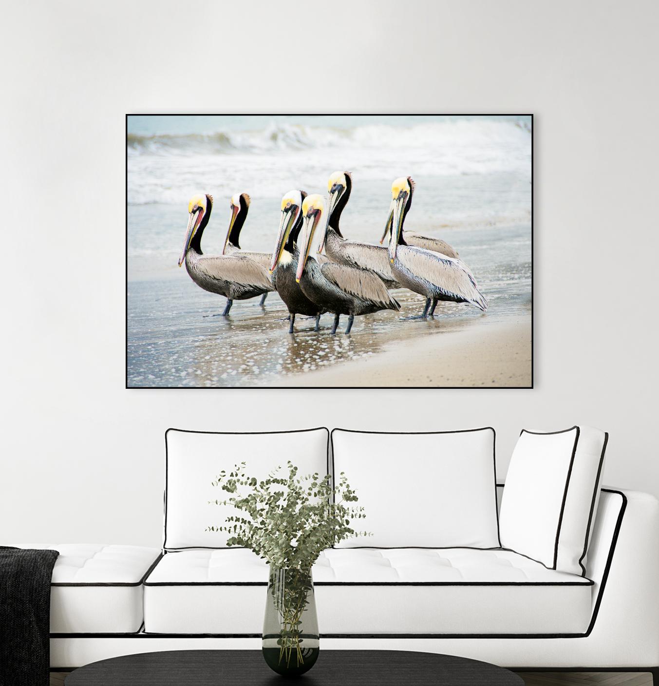 Pacific Cool IV Crop by Elizabeth Urquhart on GIANT ART - grey animals