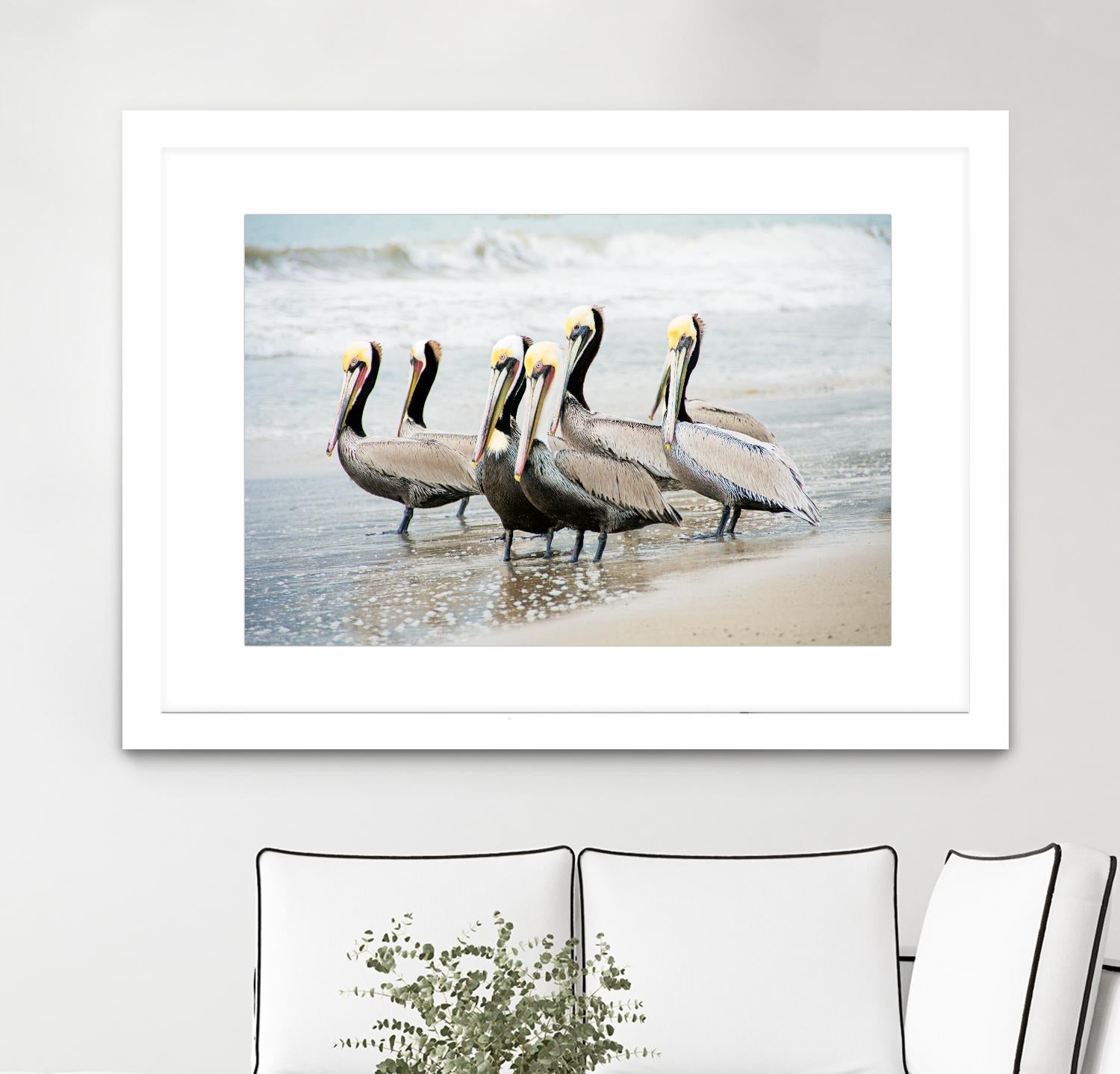 Pacific Cool IV Crop by Elizabeth Urquhart on GIANT ART - grey animals