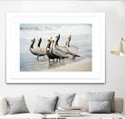 Pacific Cool IV Crop by Elizabeth Urquhart on GIANT ART - grey animals