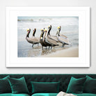 Pacific Cool IV Crop by Elizabeth Urquhart on GIANT ART - grey animals