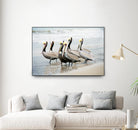 Pacific Cool IV Crop by Elizabeth Urquhart on GIANT ART - grey animals