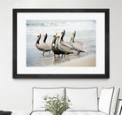 Pacific Cool IV Crop by Elizabeth Urquhart on GIANT ART - grey animals