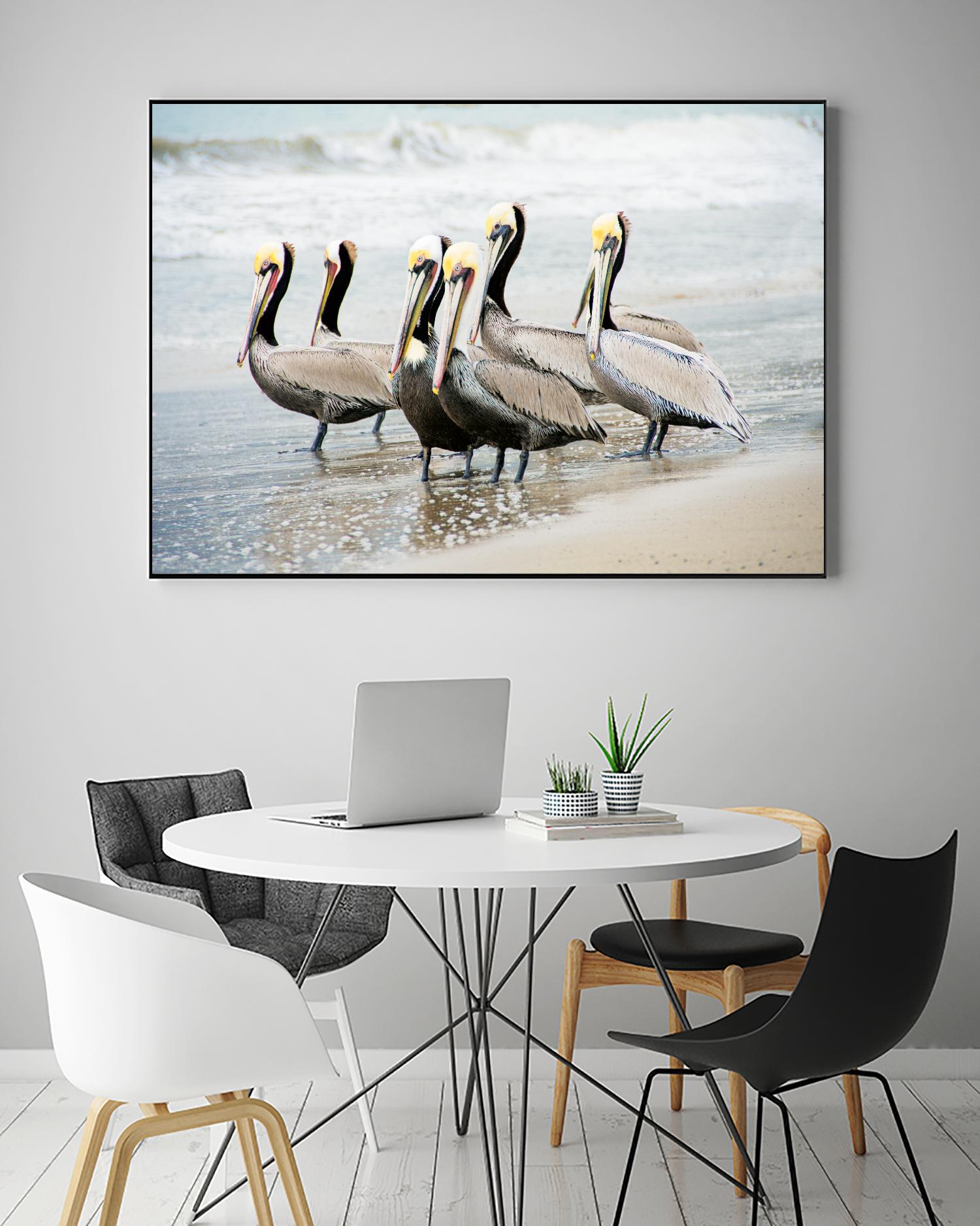 Pacific Cool IV Crop by Elizabeth Urquhart on GIANT ART - grey animals