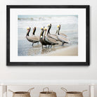 Pacific Cool IV Crop by Elizabeth Urquhart on GIANT ART - grey animals