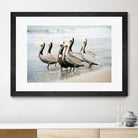 Pacific Cool IV Crop by Elizabeth Urquhart on GIANT ART - grey animals