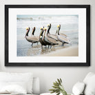 Pacific Cool IV Crop by Elizabeth Urquhart on GIANT ART - grey animals