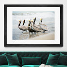 Pacific Cool IV Crop by Elizabeth Urquhart on GIANT ART - grey animals