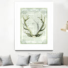 Regal Antlers on Newsprint I by Sue Schlabach on GIANT ART - brown country look