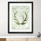 Regal Antlers on Newsprint I by Sue Schlabach on GIANT ART - brown country look