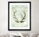 Regal Antlers on Newsprint I by Sue Schlabach on GIANT ART - brown country look