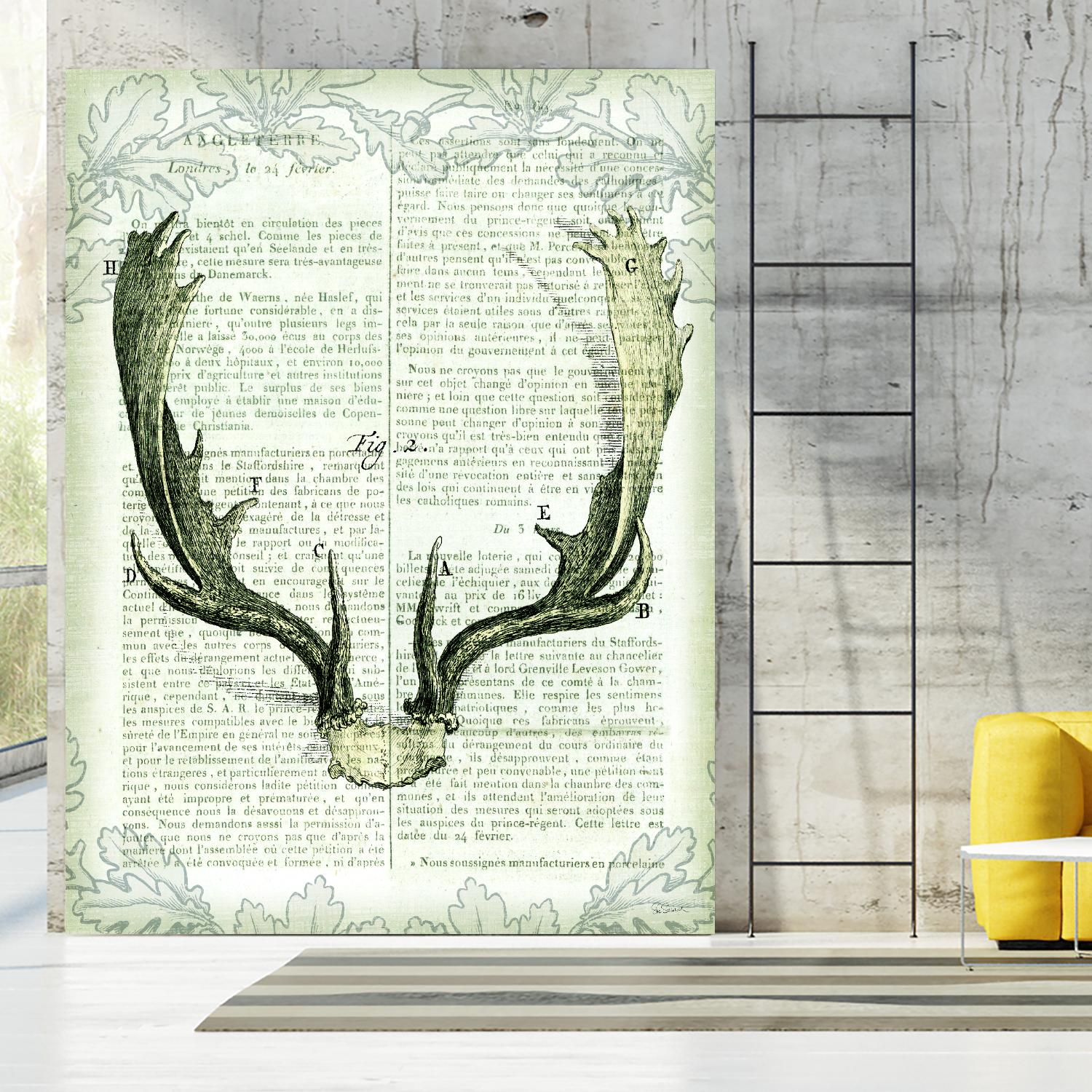 Regal Antlers on Newsprint II by Sue Schlabach on GIANT ART - brown country look