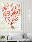 Textured Coral I by Avery Tillmon on GIANT ART - beige nautical