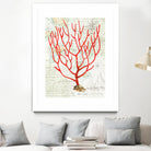 Textured Coral I by Avery Tillmon on GIANT ART - beige nautical