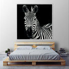 Zebra II by Debra Van Swearingen on GIANT ART - white animals