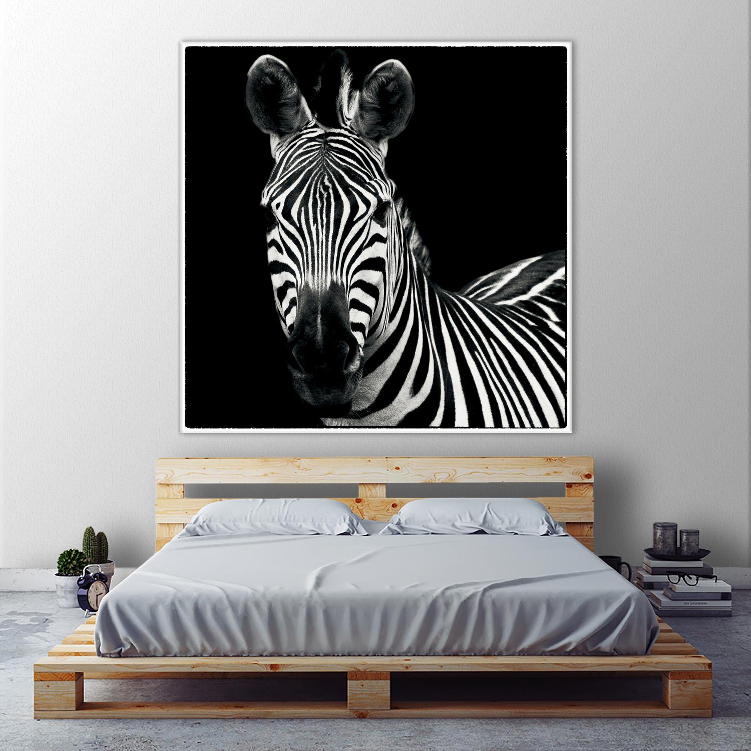 Zebra II by Debra Van Swearingen on GIANT ART - white animals