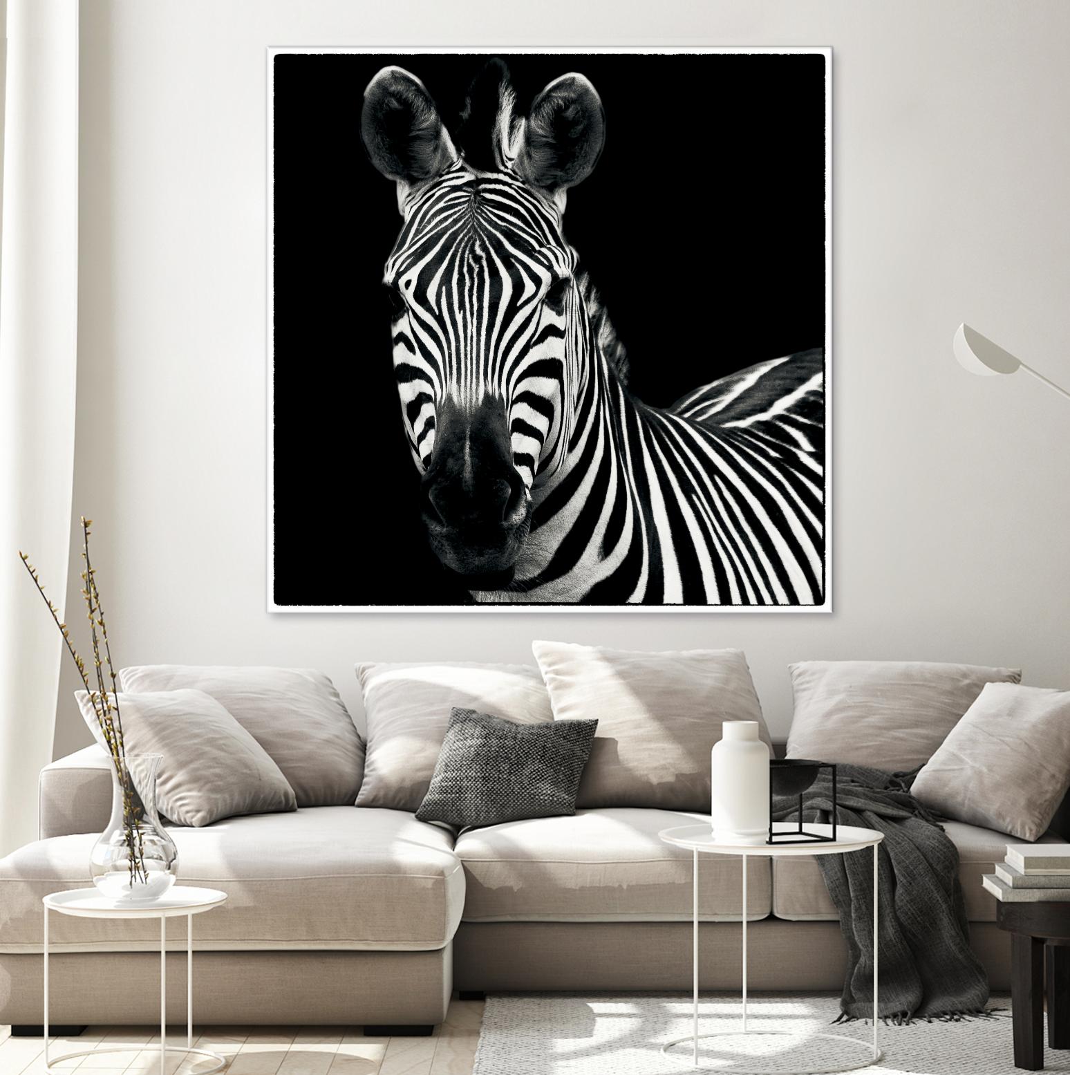 Zebra II by Debra Van Swearingen on GIANT ART - white animals