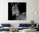 Zebra II by Debra Van Swearingen on GIANT ART - white animals