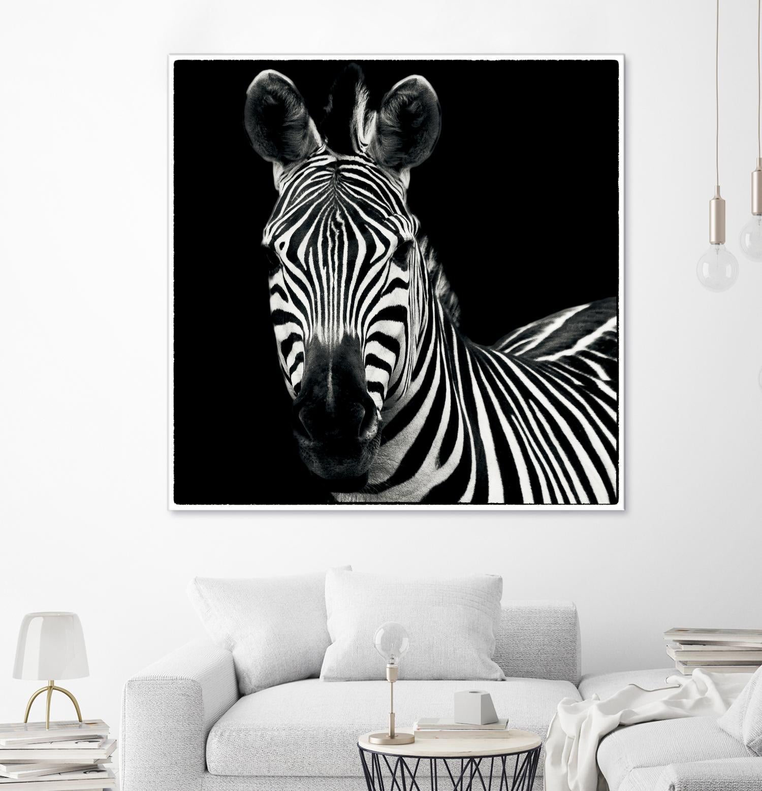 Zebra II by Debra Van Swearingen on GIANT ART - white animals