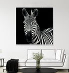 Zebra II by Debra Van Swearingen on GIANT ART - white animals