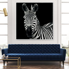 Zebra II by Debra Van Swearingen on GIANT ART - white animals
